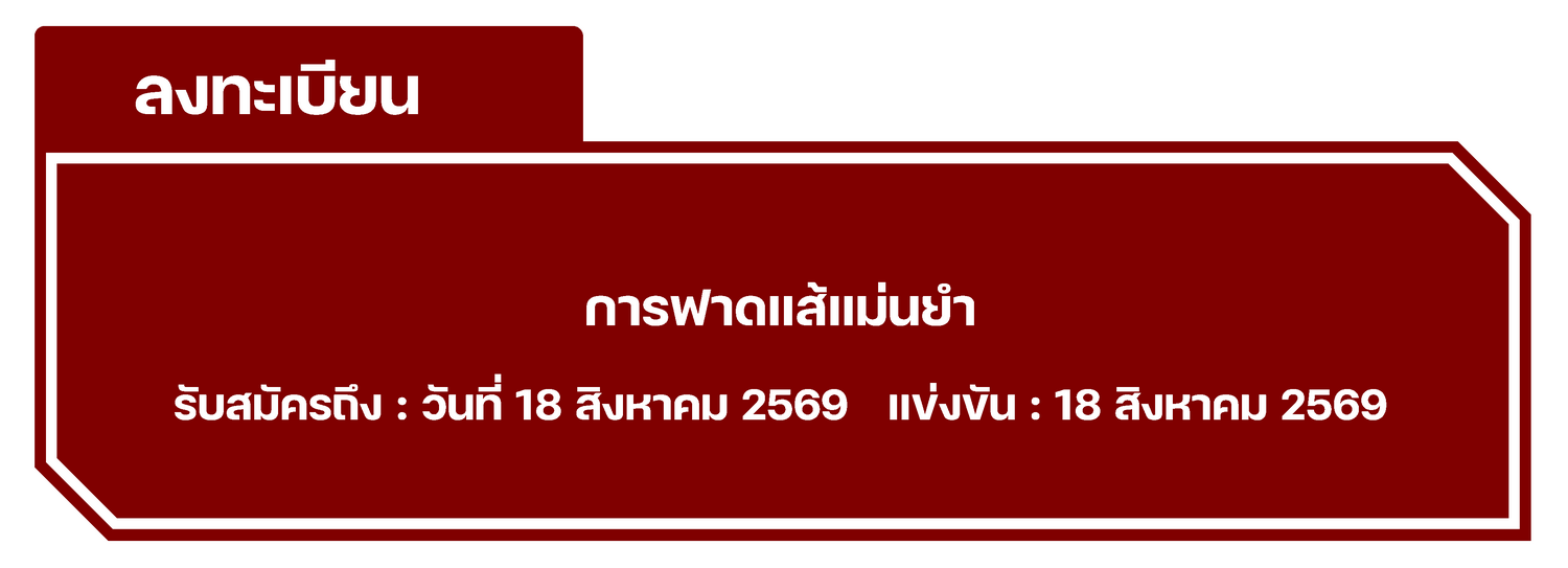 การฟาดแส้แม่นยำ