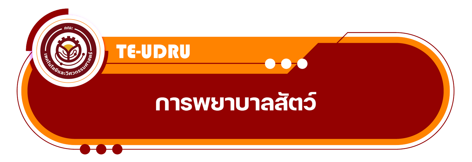 สาขาวิชาการพยาบาลสัตว์